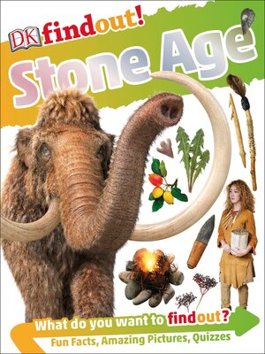 cover image of Stone Age